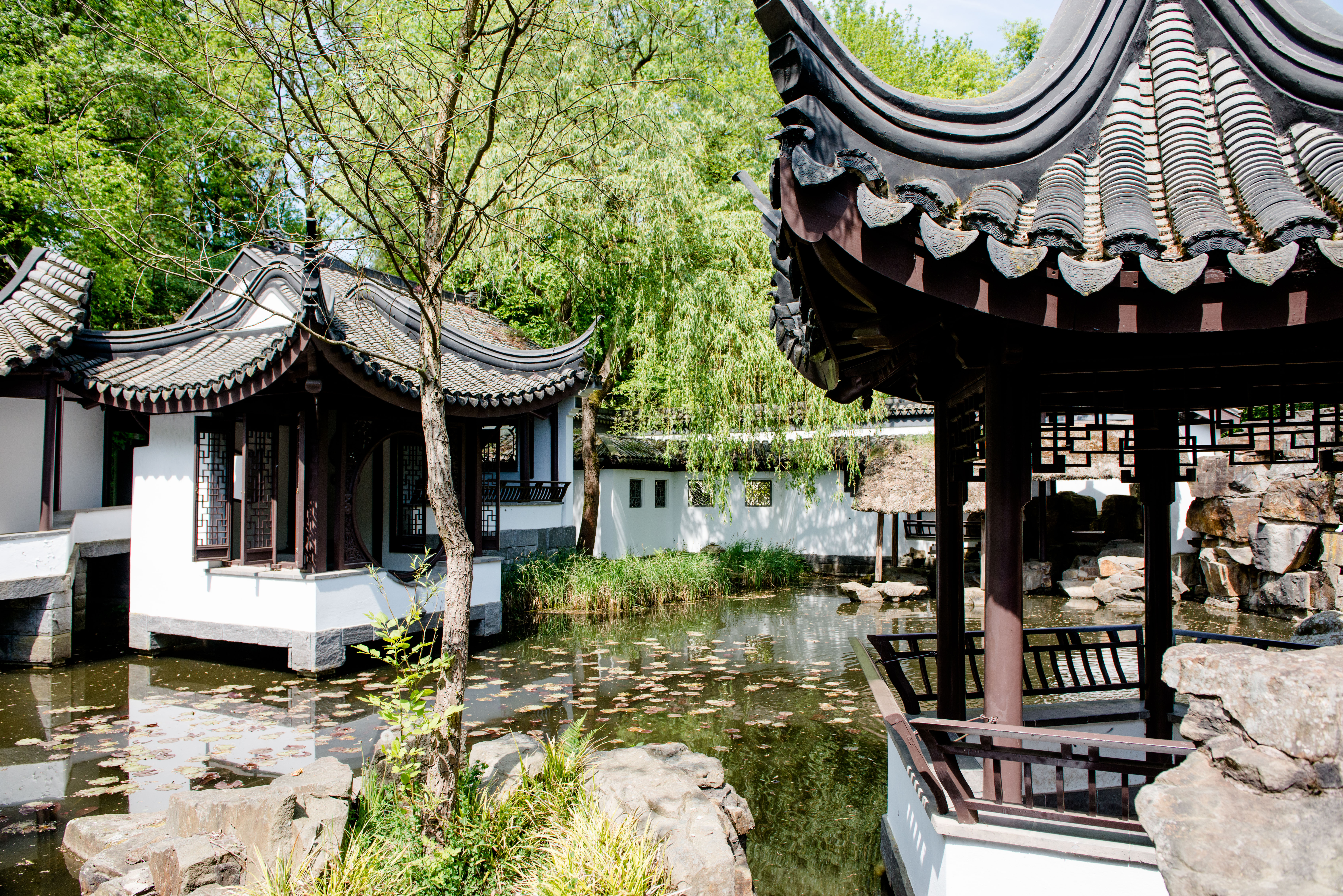 Chinesischer Garten im Botanischen Garten der RUB