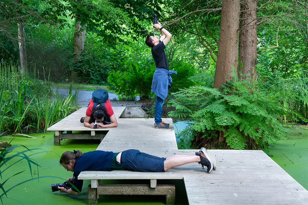 3 Fotografen im Botanischen Garten